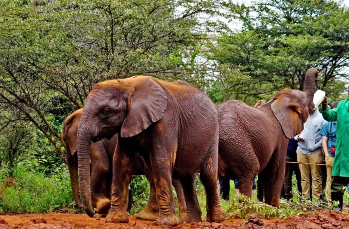 xr:d:DAFyPYLz10A:7,j:2256710520667818493,t:23102511