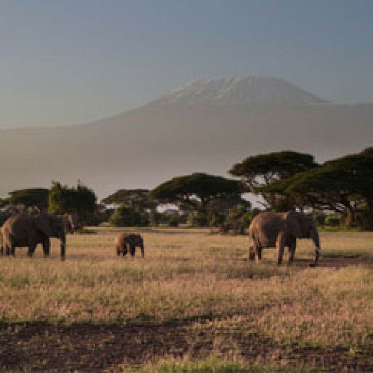 1-day-trip-to-amboseli-national-park