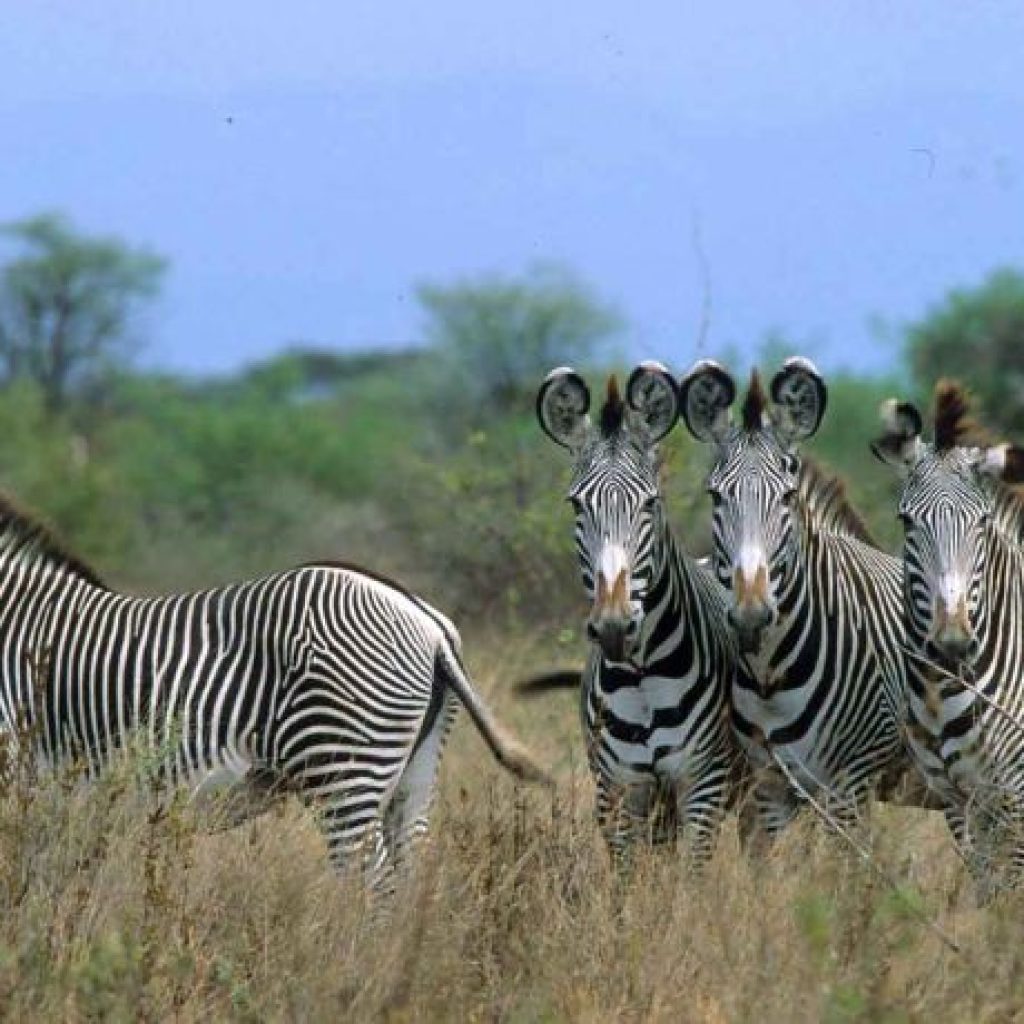 xr:d:DAF1ukjPVQs:3,j:3509840927306872673,t:23120110