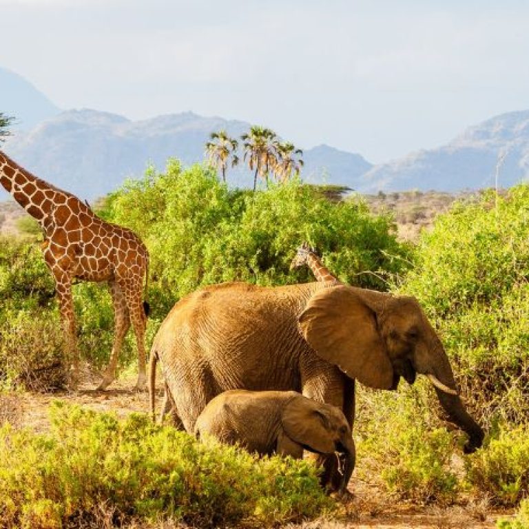 xr:d:DAF1ukjPVQs:5,j:9130333261864856539,t:23120110