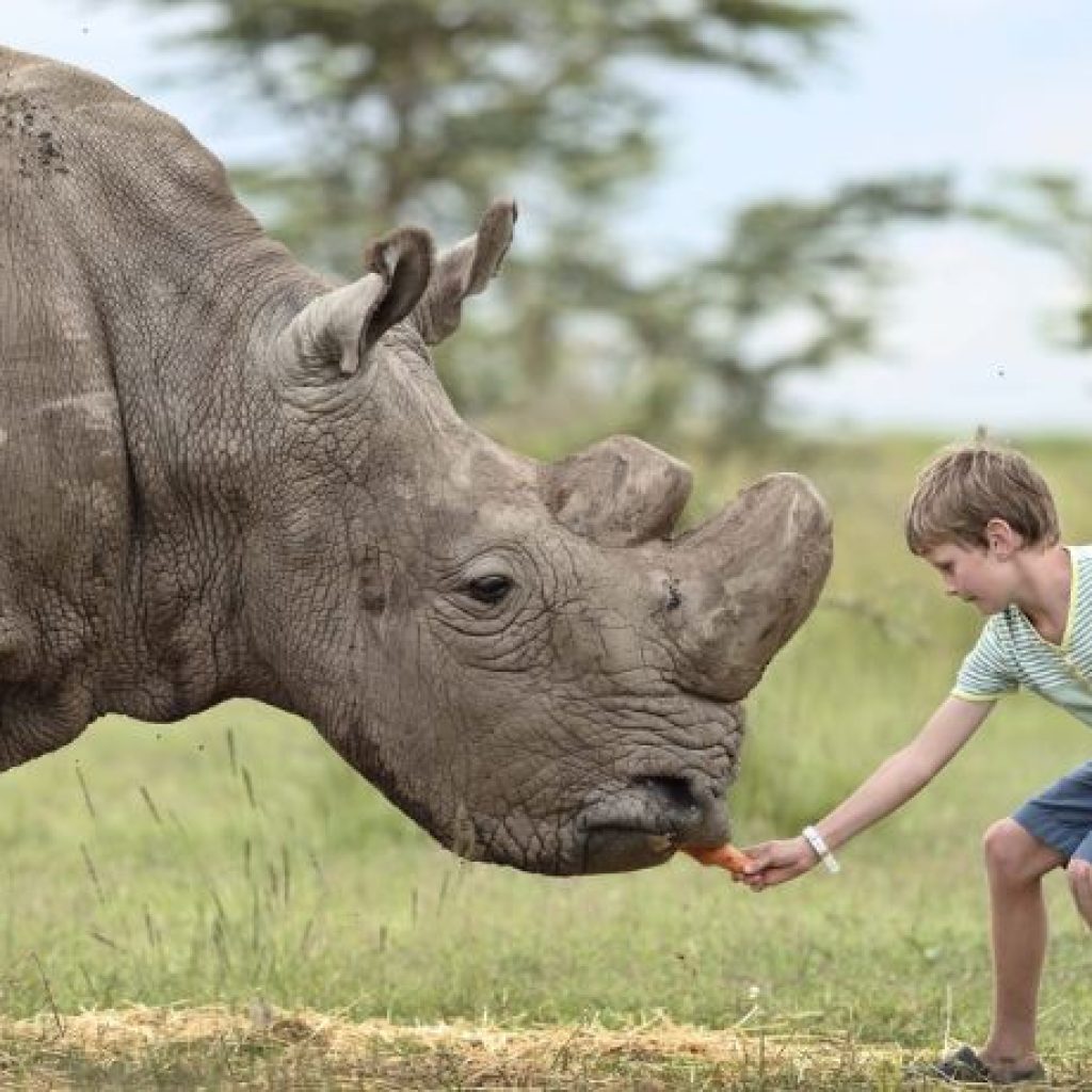 xr:d:DAF1ukjPVQs:7,j:4568186845774972048,t:23120111