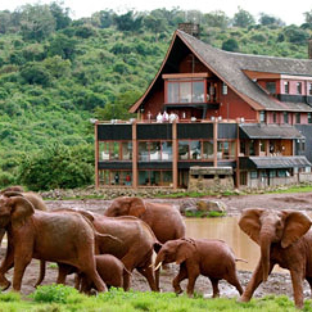 3-days-aberdares-safari-and-mt-kenya