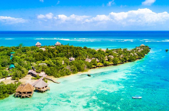 xr:d:DAFyVDb7GQc:4,j:1877282331869479517,t:23102605