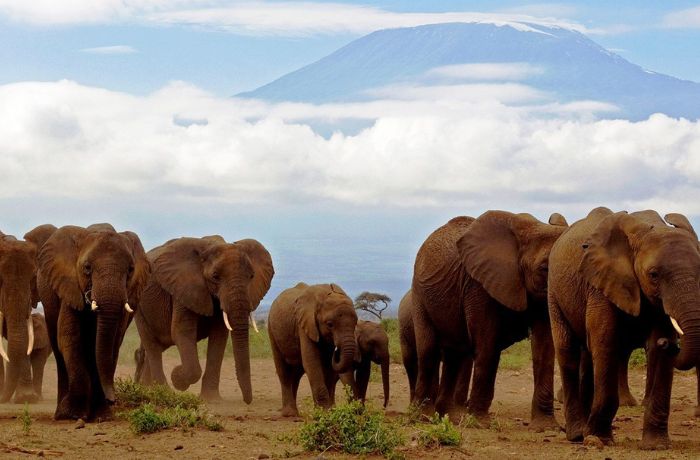 xr:d:DAFyVDb7GQc:2,j:4958870371237424887,t:23102604