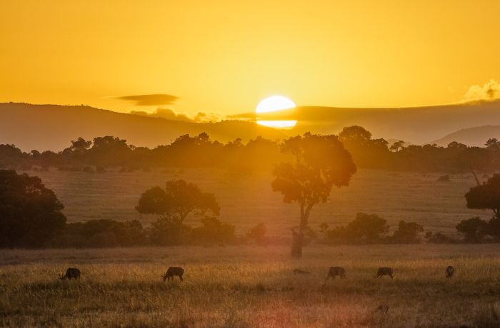 xr:d:DAFyVDb7GQc:20,j:2931124679240236817,t:23102613