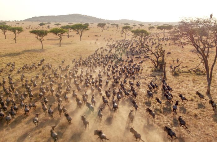 xr:d:DAFyPYLz10A:4,j:5876478717408162239,t:23102510