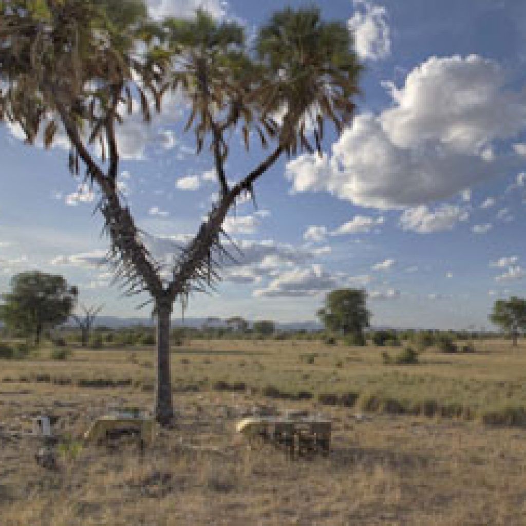 3-days-meru-national-park-luxury-safari (1)