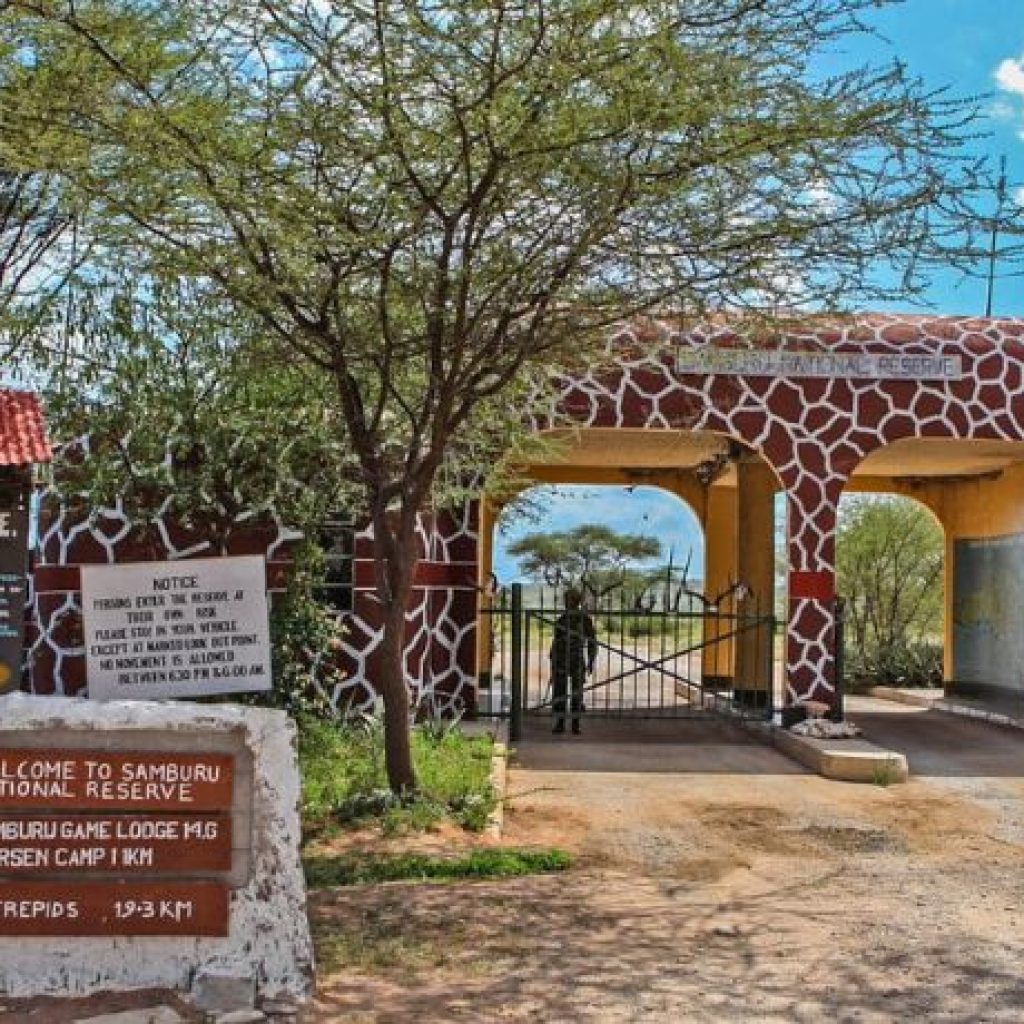 xr:d:DAFyVDb7GQc:17,j:3093254252908317005,t:23102610