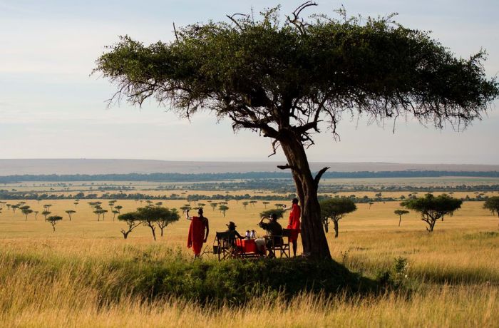 xr:d:DAFyPYLz10A:11,j:7505655893945862795,t:23102512