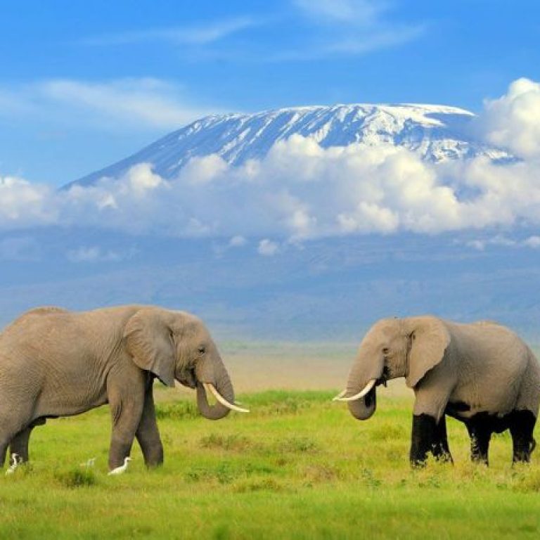 xr:d:DAF10uj7Mmk:7,j:1841257377276529078,t:23120212