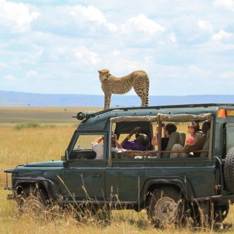 xr:d:DAFyVDb7GQc:18,j:5557849153957311453,t:23102611