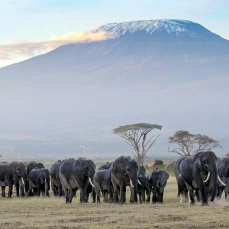 xr:d:DAF10uj7Mmk:3,j:7507911604148019048,t:23120211